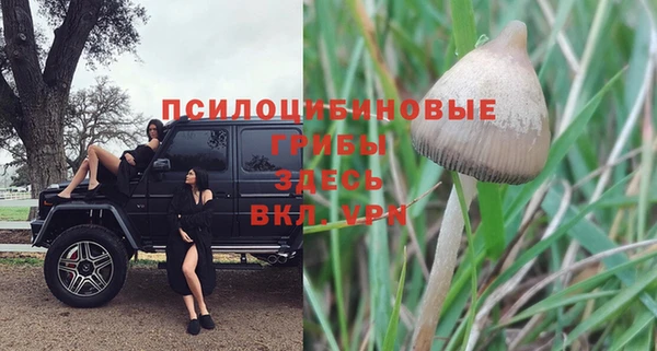 mdpv Бородино